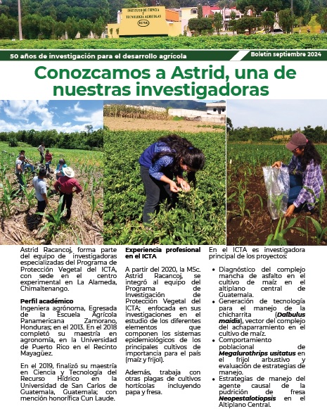 boletin ICTA Septiembre 2024